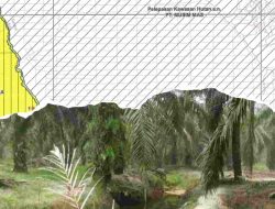 DPD LSM Bara Api Tantang Humas PT Musim Mas, Tunjukan Bukti kalau Berita Hoax Dugaan Operasional Kebun Sawit Di luar HGU dan konservasi, Namun Tak Mampu Lihatkan Data Kongkrit