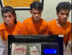 Polisi Ringkus IRT pengedar Sabu di Sungai Beringin