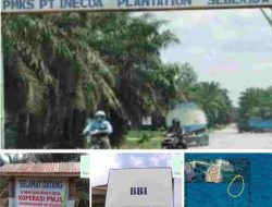 LSM Bara Api Fitri Ayomi,” Menduga PT.INECDA dan CV BBI Telah Melanggar Hukum di Minta Polda Riau Bertindak Tegas.
