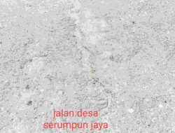 Dugaan Ada Penyimpangan LSM Bara Api, Meminta Kejaksaan Negeri Audit Anggaran Dana Desa Serumpun Jaya Tahun 2024-2025.