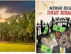 Kelompok Tani Berkah Sejahtera yang Diketuai Rusian Diduga Manipulasi Hasil Panen Sawit Sitaan Negara