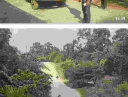 Laka Lantas Adu Kambing, Antara Truk Hino Modifikasi dengan Carry Jenis Pick Up di Jalintim Ukui Pelalawan