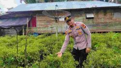 Polsek KSKP Tembilahan Galakkan Penanaman Cabai Rawit, Dukung Program Ketahanan Pangan Nasional