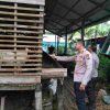 Dukung Swasembada Pangan, Kapolsek KSKP Tembilahan Turun Langsung Bina Peternak Kambing