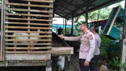 Dukung Swasembada Pangan, Kapolsek KSKP Tembilahan Turun Langsung Bina Peternak Kambing