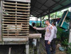 Dukung Swasembada Pangan, Kapolsek KSKP Tembilahan Turun Langsung Bina Peternak Kambing