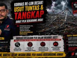 Belasan Tower SUTET dan SUTT di Sumut Rusak Hingga Picu Pemadaman, Audit Anggaran Manajemen Care 4 Asset PLN