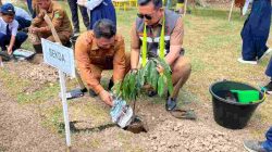 Sekda Inhu : Menanam Pohon DiSMP Negeri 2 Pasir Penyu Dalam Rangka Memperingati Hari Lingkungan Hidup