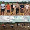 Polsek Tambusai wujudkan ketahanan Pangan dengan Kelompok Tani dalam rangka Penanaman Jagung Kuartal II di Desa Batas, Kec. Tambusai
