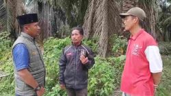 Diduga Dianiaya Saat Diamankan di Lahan Eks PT SAL, IWO Inhu Desak Polisi Usut Tuntas Pelaku