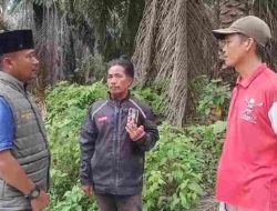 Diduga Dianiaya Saat Diamankan di Lahan Eks PT SAL, IWO Inhu Desak Polisi Usut Tuntas Pelaku
