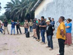 Tokoh Pemuda dan Warga Batang Gansal Desak Agrinas Tinjau Ulang KSO PT PAS, Singgung Pengelolaan Aset Negara Hasil Penertiban Kawasan Hutan