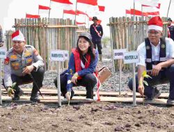 Kapolda Riau Bawa Harapan ke Tepian Negeri, 3.600 Mangrove Bentengi Kuala Selat