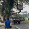 Akibat Cuaca Ekstrim, Pohon Tumbang Menimpa Warga Hingga Meninggal