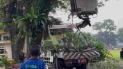 Akibat Cuaca Ekstrim, Pohon Tumbang Menimpa Warga Hingga Meninggal