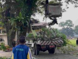 Akibat Cuaca Ekstrim, Pohon Tumbang Menimpa Warga Hingga Meninggal