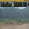 Puluhan Rakit Diduga PETI Berjejer di Sungai Indragiri, Nama Kades Baturijal Hulu Disebut-sebut Warga!