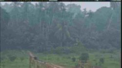 Puluhan Rakit Diduga PETI Berjejer di Sungai Indragiri, Nama Kades Baturijal Hulu Disebut-sebut Warga!